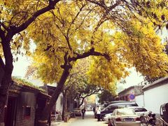 -VOYAGE COFFEE(北锣鼓巷店)