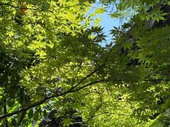 -苏州织造署旧址