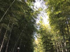 -孙武文化园-停车场