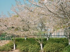 -诺贝尔湖公园