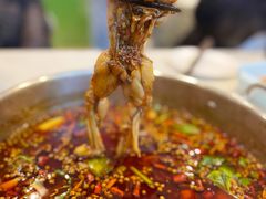 -蛙两只美蛙鱼头火锅(恒茂店)