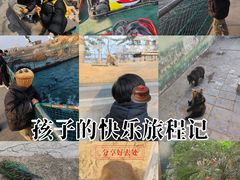 -西霞口神雕山野生动物世界