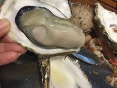 -蚝堡海鲜·威海菜·海肠捞饭·烧烤·亚洲吃蚝公司(幸福门店)