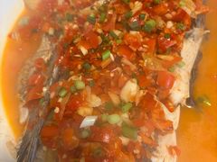 -全乐鱼馆·淳牌有机鱼直营店