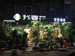 -溪岸路花鸟市场