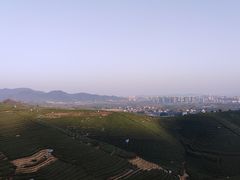 -龙坞茶村