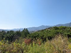 -白水寺森林公园