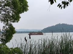 -东湖落雁景区
