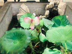 -灶东家民间菜(回兴店)