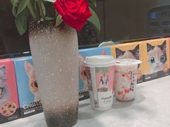 -茶颜观色(晋江店)