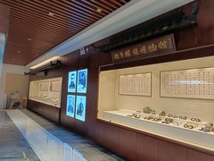 -标准眼镜·蔡司官方授权店(和平路总店)