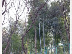 -上海佘山国家森林公园西佘山园