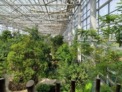 -祥源·阜阳生态乐园