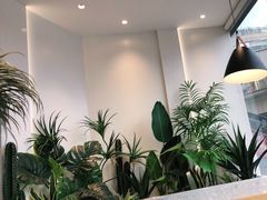 大堂-CoCo都可(魔力月光店)