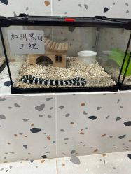 -Moni星球萌宠·小马宝莉·灵蛇·高端高阶全萌宠互动体验俱乐部(红豆国际广场店)
