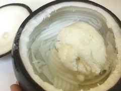 -志龙皇冠吃货椰子铺