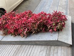 -西安大雁塔科技大学地铁站亚朵酒店