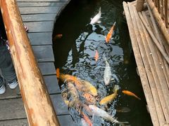 -上海大自然野生昆虫馆(东方明珠·爬宠昆虫探索中心)