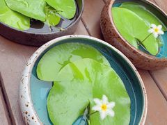 -ChaKo Flora ·茶子花艺 (市北店)