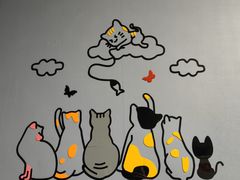 -这儿没有猫·猫咖萌宠馆·撸猫