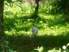 -福建鲤鱼洲酒店
