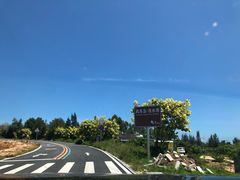 -汕尾风车岛