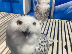 -成都浩海立方海洋公园