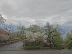 -北山公园