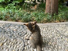-西园戒幢律寺