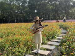 -华东政法大学(松江校区)