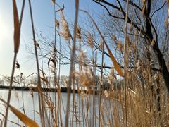 -野鸭湖国家湿地公园