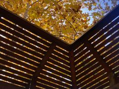 -春晖园度假酒店温泉