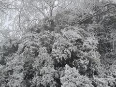 -萍乡武功山风景名胜区