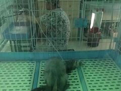 -雨林宠物医院 非犬猫异宠专科