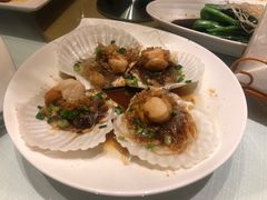 蒜蓉银丝蒸扇贝-豪廷轩中餐厅·特色云南菜(温德姆至尊豪廷大酒店)