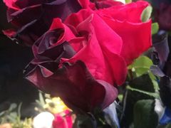 -花木兰花艺MULAN(温馨花园店)