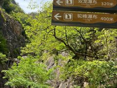 -洛阳白云山景区