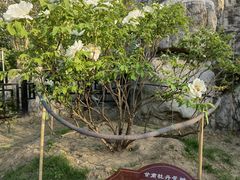 -太阳宫公园