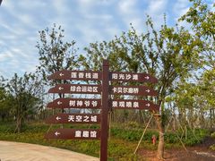 -九龙湖公园