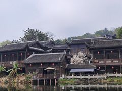 -重庆园博园