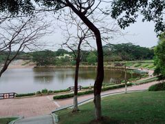 -东莞植物园