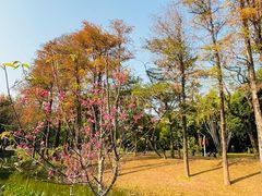 -人民公园(罗湖区)