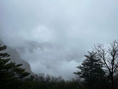 -牛背梁国家森林公园