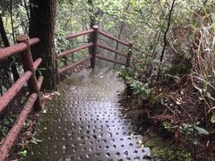 -缙云山景区