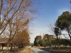 -同里国家湿地公园