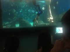 -锦艺城海洋馆