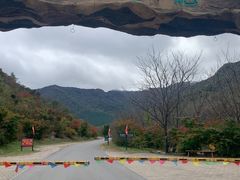 -龙道沟景区