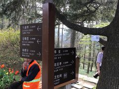 -庐山风景区花径公园