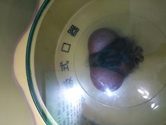 -上海昆虫博物馆