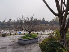 -桃花岛景观公园